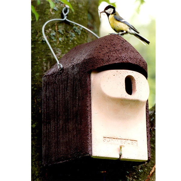 Schwegler 2GR oval fronted nest box;Schwegler 2GR oval fronted nest box in situ