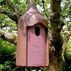 Schwegler 2M Nestbox Oval Hole