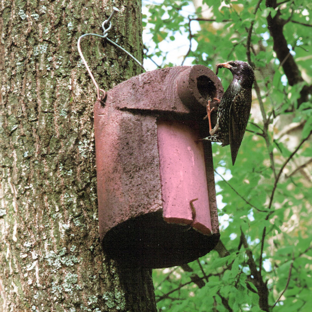Schwegler 3SV Nuthatch Nestbox Oval Hole