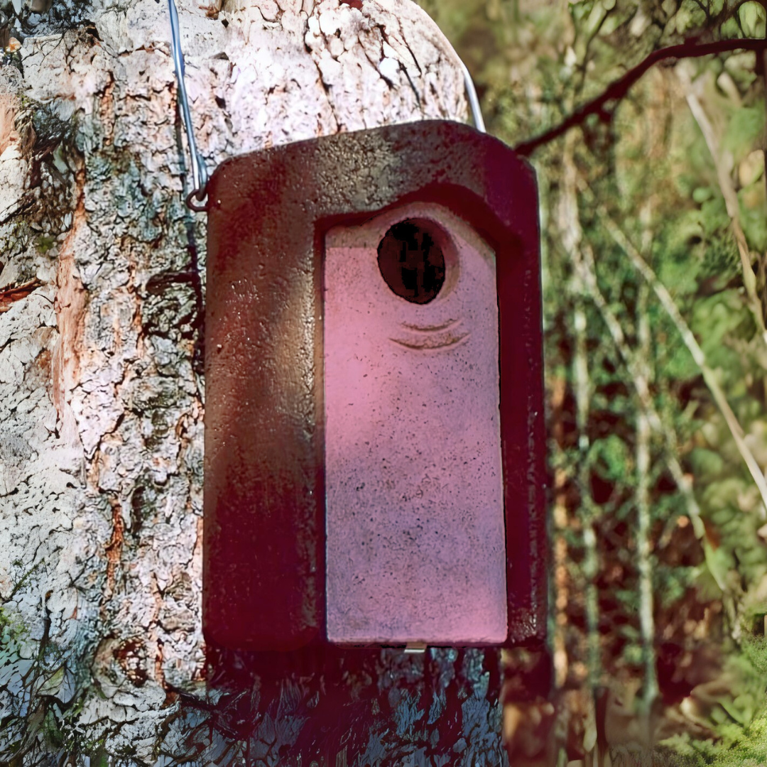 Schwegler 3S Starling Nestbox