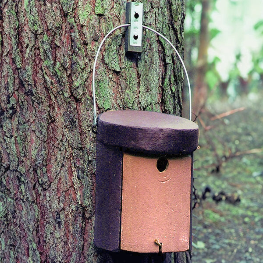 Schwegler 5KL Nuthatch Nestbox