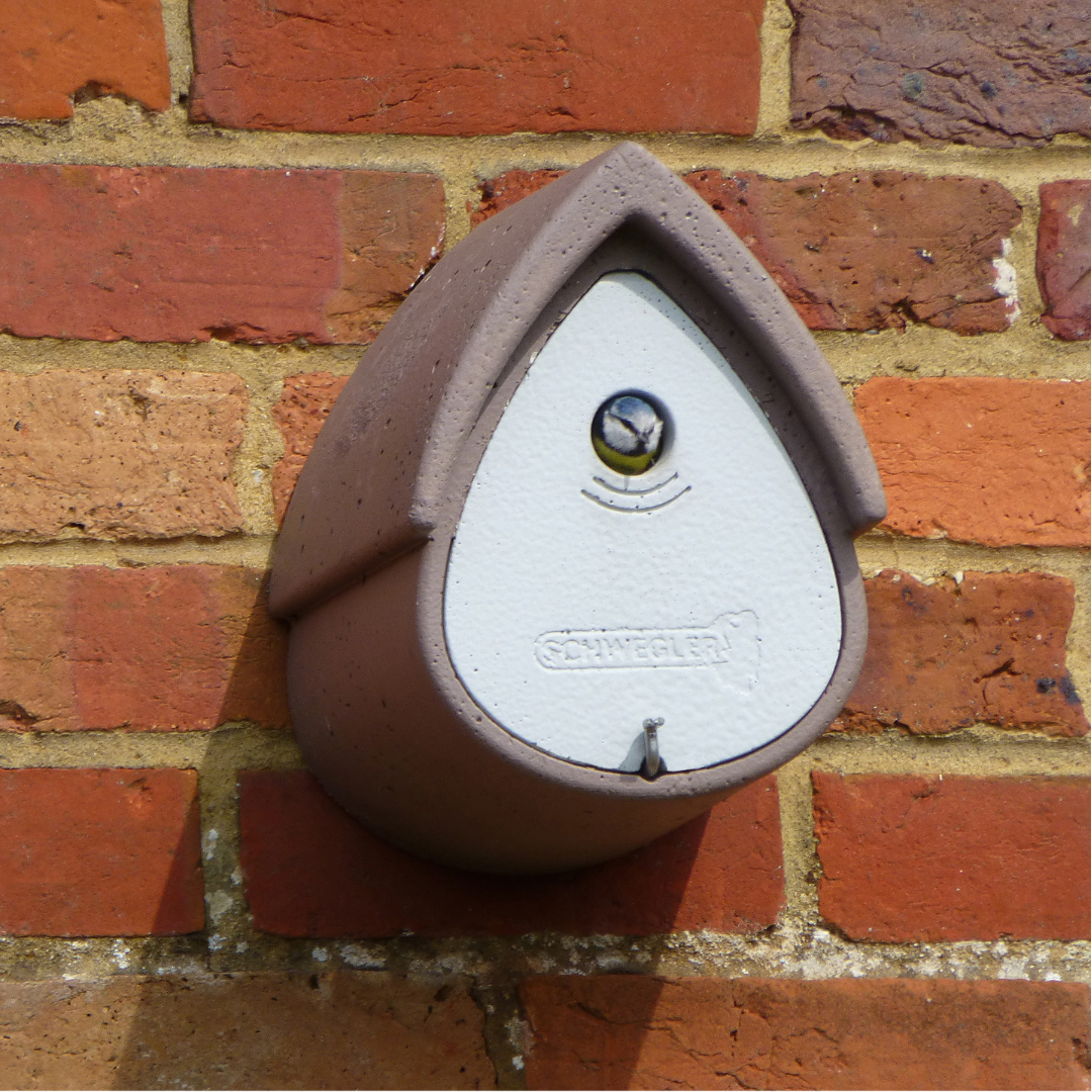 Schwegler 1MR Avianex Nestbox Brown