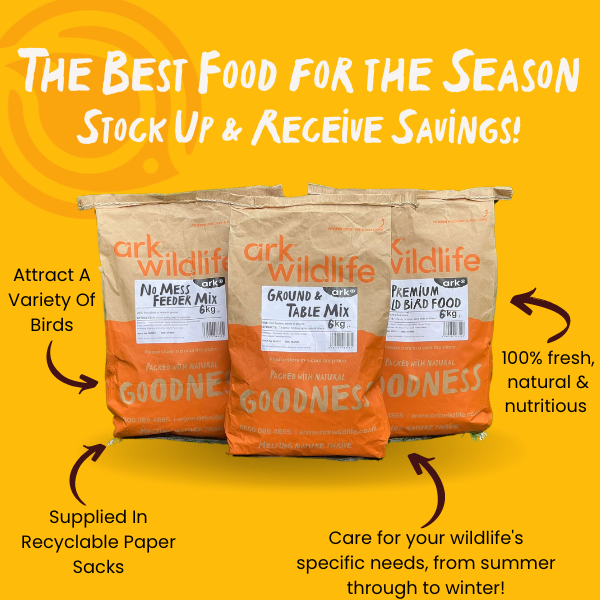 why buy seasonal bird food