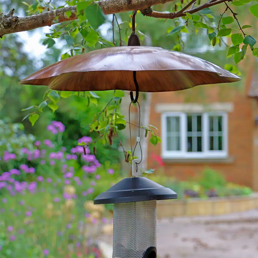 Metallic bird feeder squirrel baffle hanging from a branch with a garden background