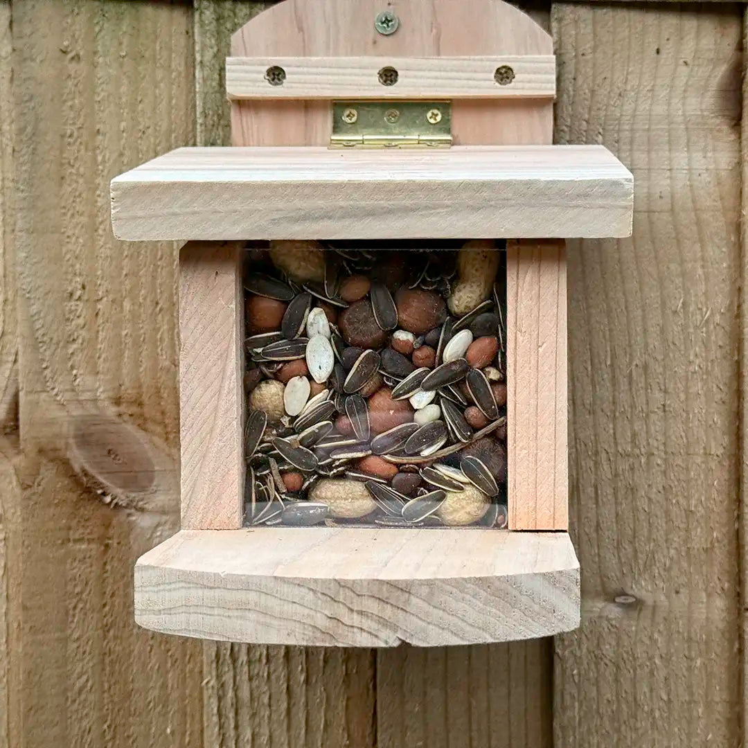 Wooden squirrel feeder with seeds and nuts on a fence