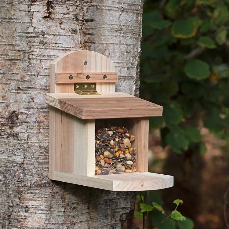 natural squirrel feeder