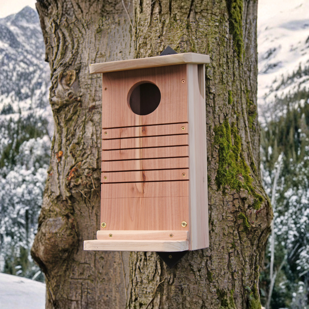 Wooden squirrel nest box showing front and side opening with fixing brackets