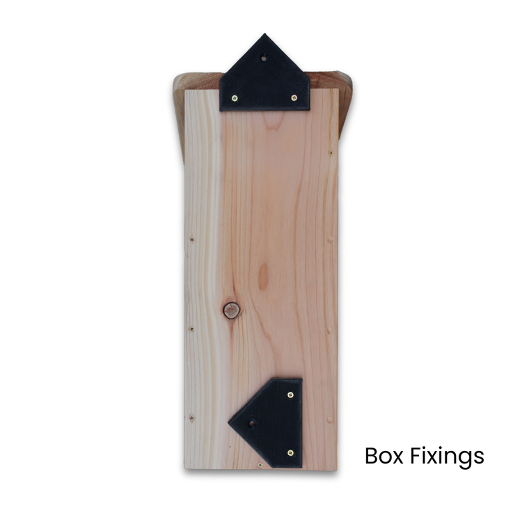 Rear of the wooden red squirrel nest box showing the two fixing brackets