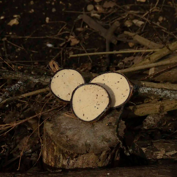 natural bird food suet for birds 