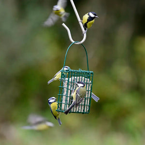suet feast feeder for birds