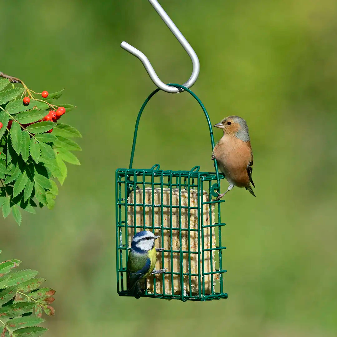 suet block bird feeder