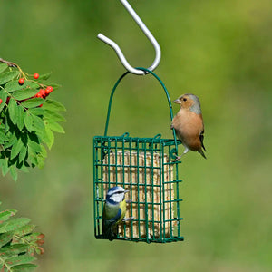 suet block bird feeder