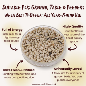 why buy sunflower seeds