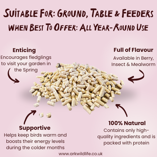 why buy suet pellets