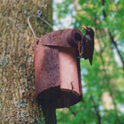 Schwegler 3SV Nestbox - 45mm