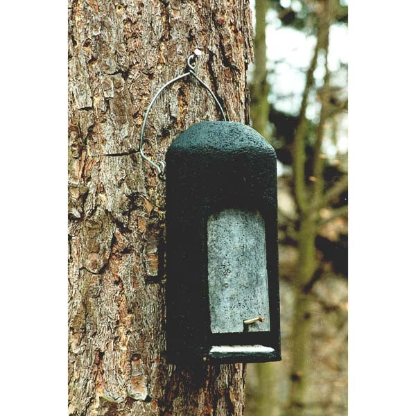 Schwegler 2FN Bat Box special Bat Box; Bats in a Schwegler 2FN Bat Box special Bat Box; Schwegler 2FN Bat Box special Bat Box situated on a tree