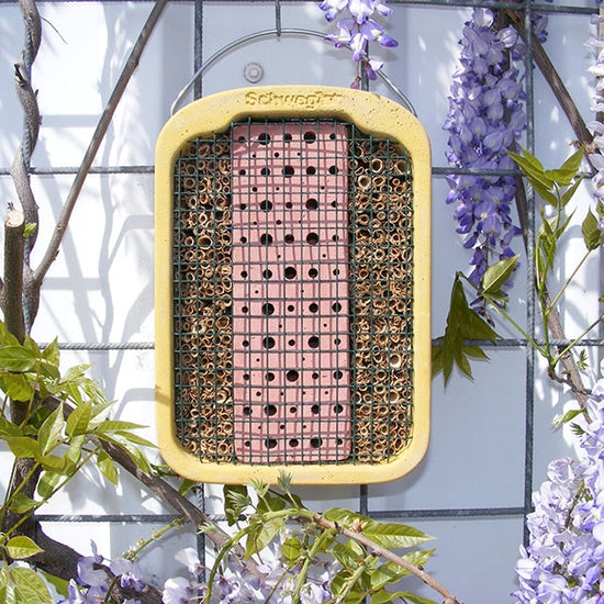 Schwegler Clay & Reed Insect Block - Ark Wildlife UK