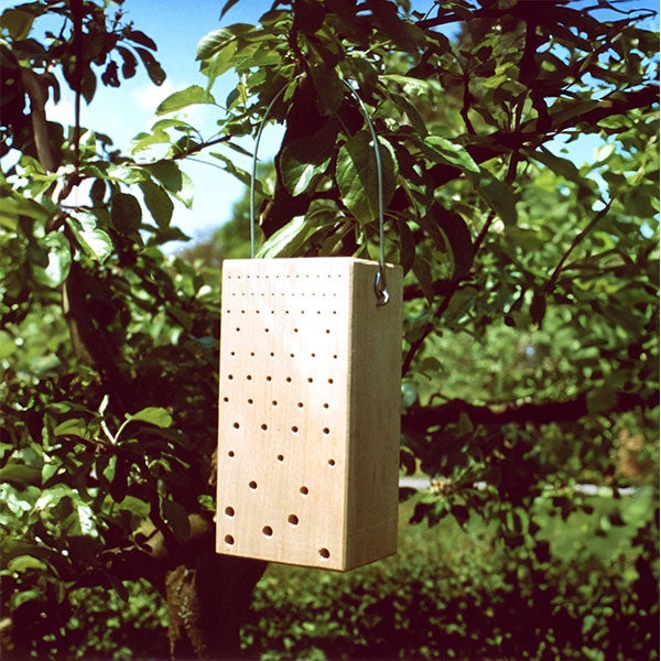 Schwegler Hardwood Insect Block;Schwegler Hardwood Insect Block