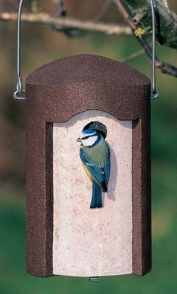 Schwegler 1B Hole Nest Box; Schwegler 1B Hole Nest Box; Baby Blue Tits nesting in a Schwegler 1B Hole Nest Box; Baby tit nesting in a Schwegler 1B Hole Nest Box