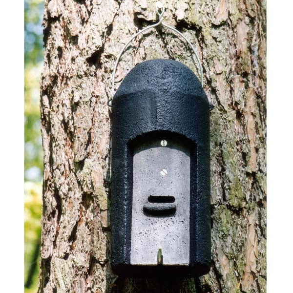 Schwegler 1FD Bat box;Inside a Schwegler 1FD bat box;colony of bats