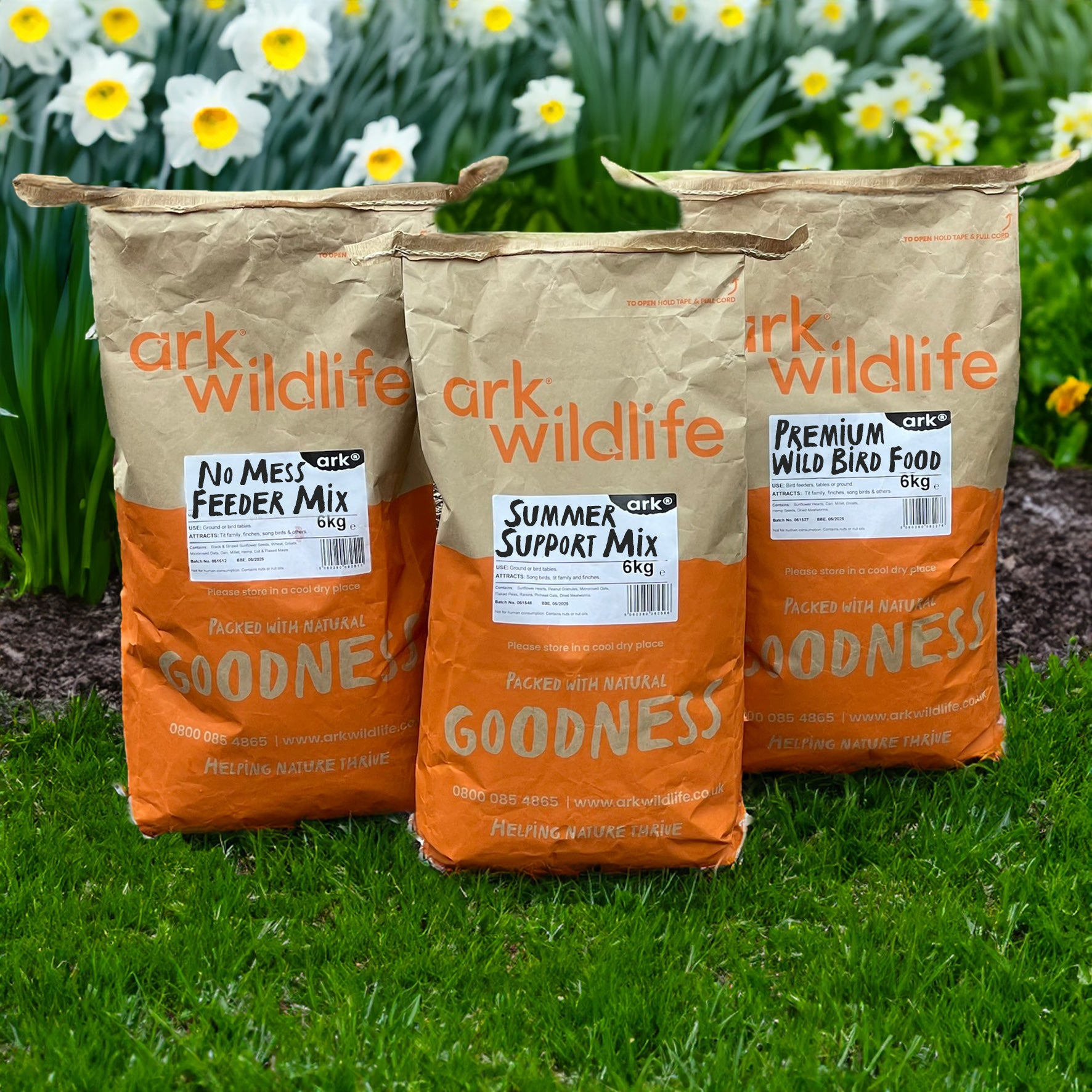 What to Feed Garden Birds in Spring - Spring Feeding Guide