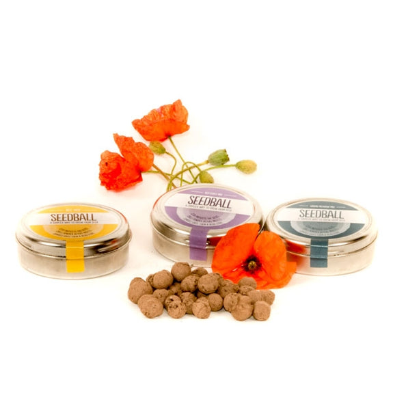 Seedballs Wildflower Seeds;Seedball germinating wildflowers;UK Wildflower Seeds;Wildflower Seeds from Seedball