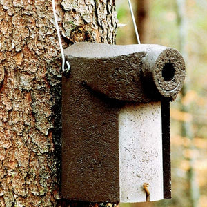 Schwegler 3SV 34mm<br>Ideal for Blue, Coal, Marsh,Great Tits. Redstarts, Nuthatches, Flycatchers, Tree and House Sparrows