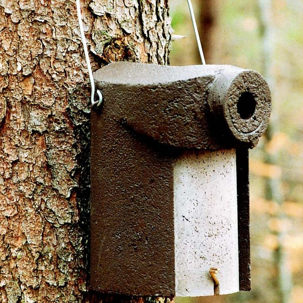 Schwegler 3SV 34mm<br>Ideal for Blue, Coal, Marsh,Great Tits. Redstarts, Nuthatches, Flycatchers, Tree and House Sparrows