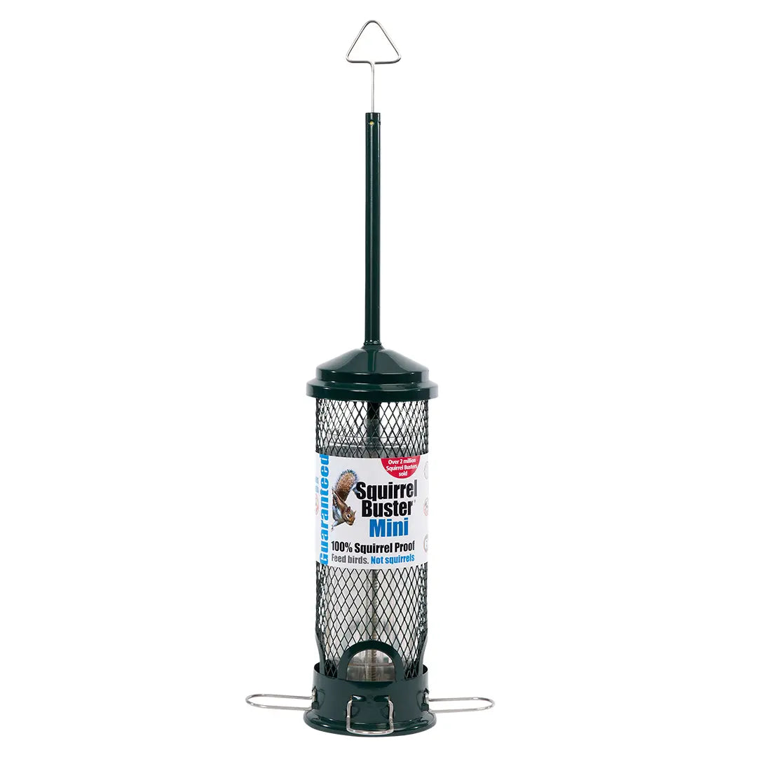 Squirrel Buster Mini bird feeder on a white background