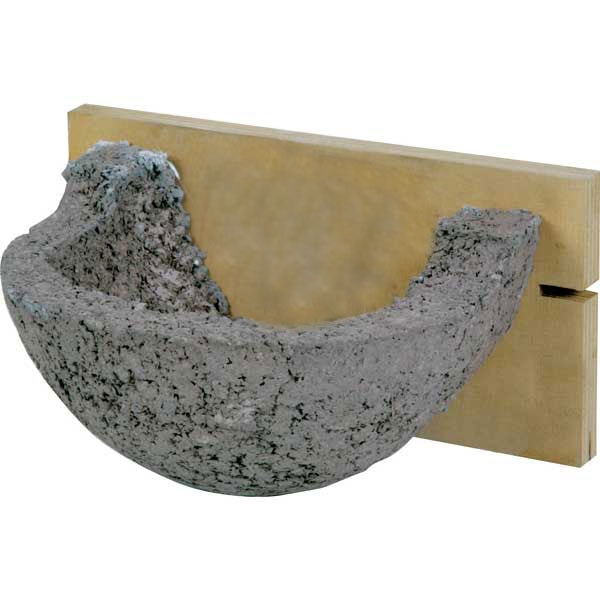 Swallow Nest Bowl