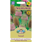 Teasel;Teasel Instructions