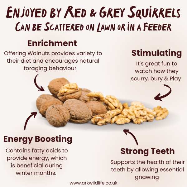 why buy walnuts in shell
