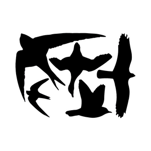 WindowAlert Adesivo Anticollisione A Forma Di Foglia D'acero - Adesivo - Foto 7