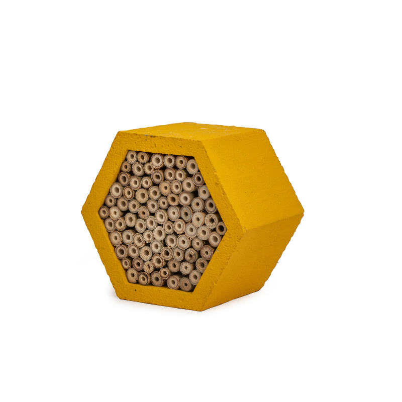 insect house