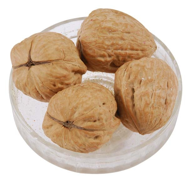 Walnut in Shells