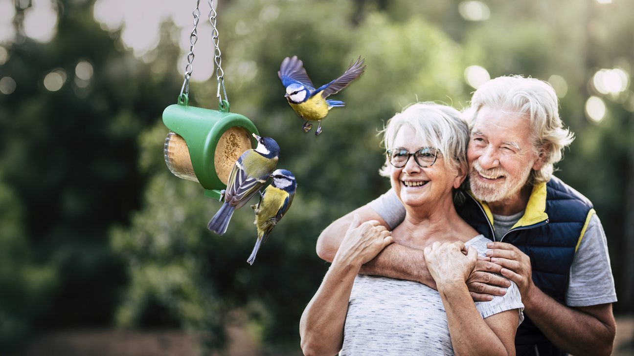 Senior couple with a bird feeder and birds in a garden setting