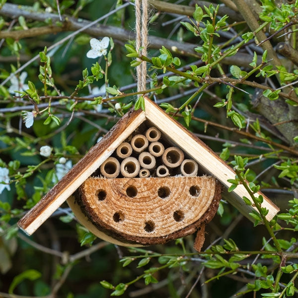 Nooks & Crannies Insect Loft; Leafcutter Bee using Nooks & Crannies Loft; Attact Beneficial Insects with NC Loft; Insect Loft attracting pollinators in an orchard