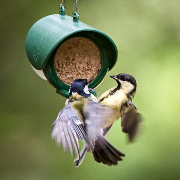 Flutter Butter Pods Fruity; Peanut Butter for birds; Flutter Peanut Butter for birds in a feeder; Birds love peanut butter when its salt free