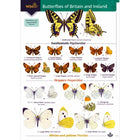 Field guide to Butterflies fo Britain; Field guide to Butterflies fo Britain; Field guide to Butterflies fo Britain