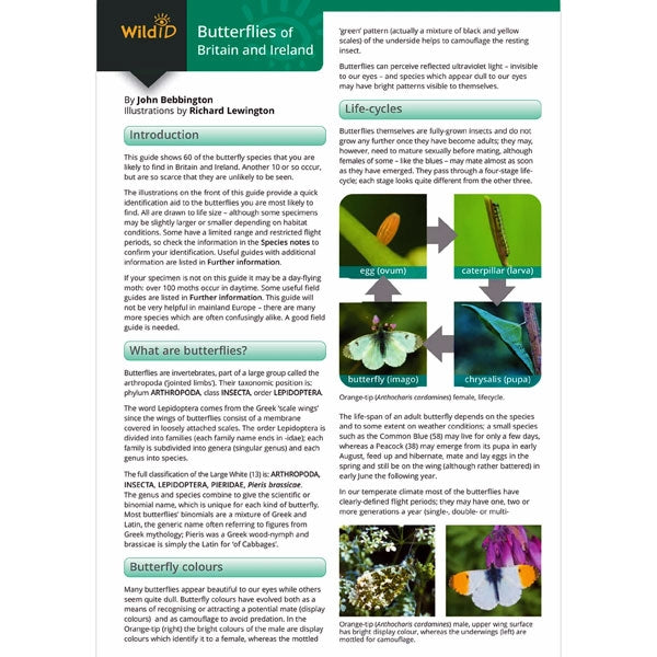 Field guide to Butterflies fo Britain; Field guide to Butterflies fo Britain; Field guide to Butterflies fo Britain