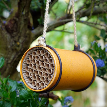 Bee Houses for Gardens & Solitary Bee Boxes | Ark Wildlife UK