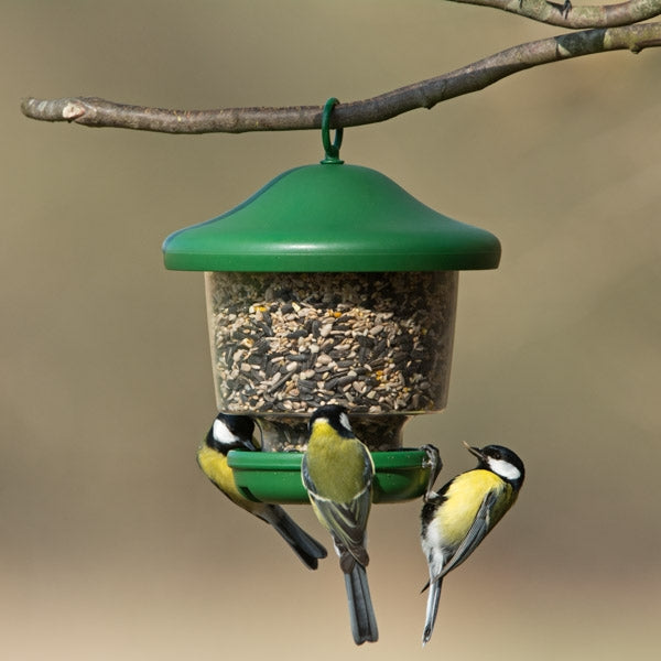 Small Bird Feeder