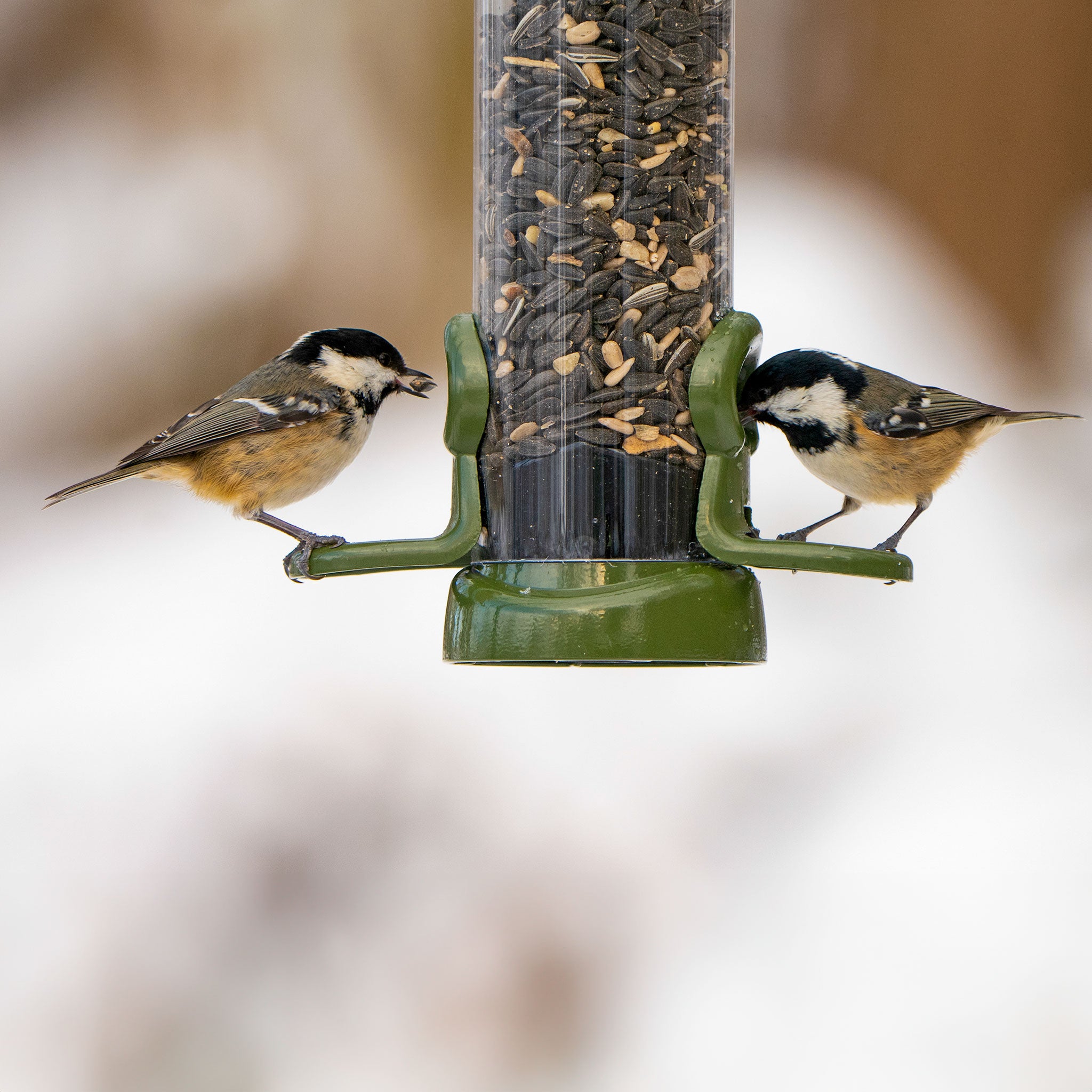 Flo™ Lifetime Seed Feeders