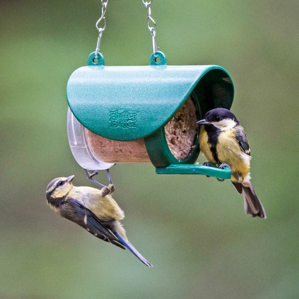 Flutter Butter Refills Fruity; Flutter Butter Pod Refills 80% less plastic; Birds fight over Flutter Butter; Peanut Butter for Birds