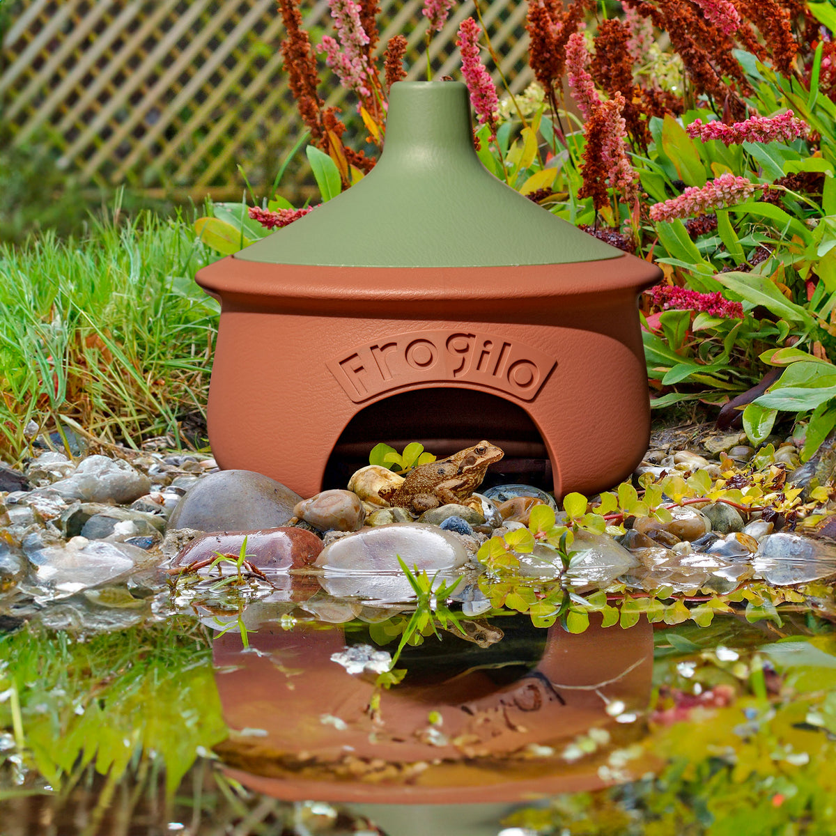 Eco Frogilo Frog House - Ark Wildlife UK