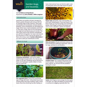 ID Guide to Garden Mini Beasts & Bugs; ID Guide to Garden Mini Beasts & Bugs; ID Guide to Garden Mini Beasts & Bugs