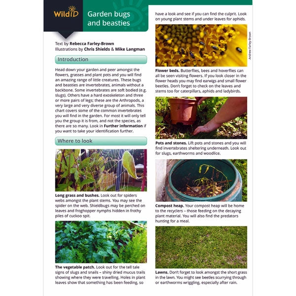 ID Guide to Garden Mini Beasts & Bugs; ID Guide to Garden Mini Beasts & Bugs; ID Guide to Garden Mini Beasts & Bugs