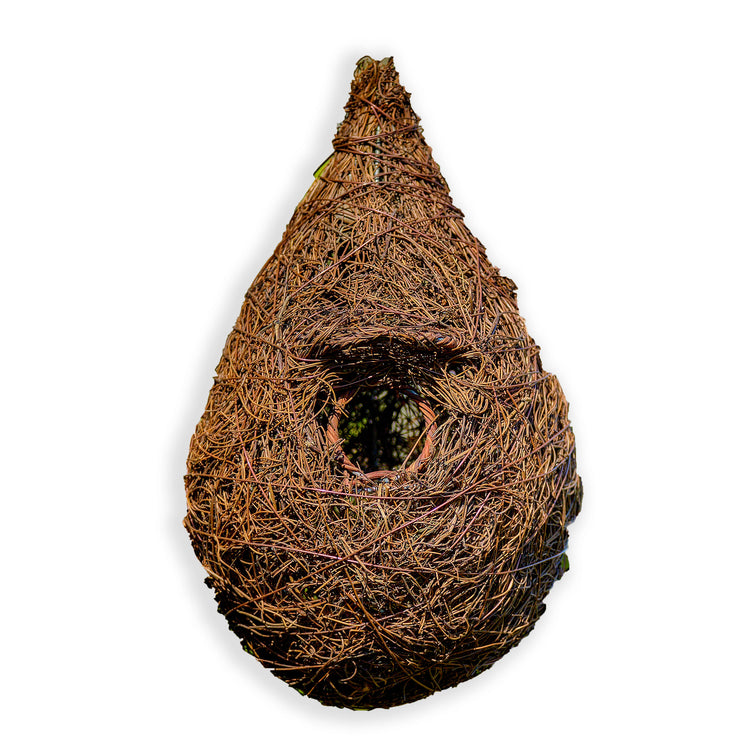 Giant roost pocket on white background
