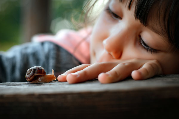 Young girl watching a snail