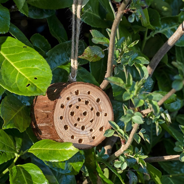 Nooks & Crannies Insect Log; Nooks & Crannies Insect Log Hanging; Nooks & Crannies Insect Log in Ivy; Nooks & Crannies Beneficial Insect Log